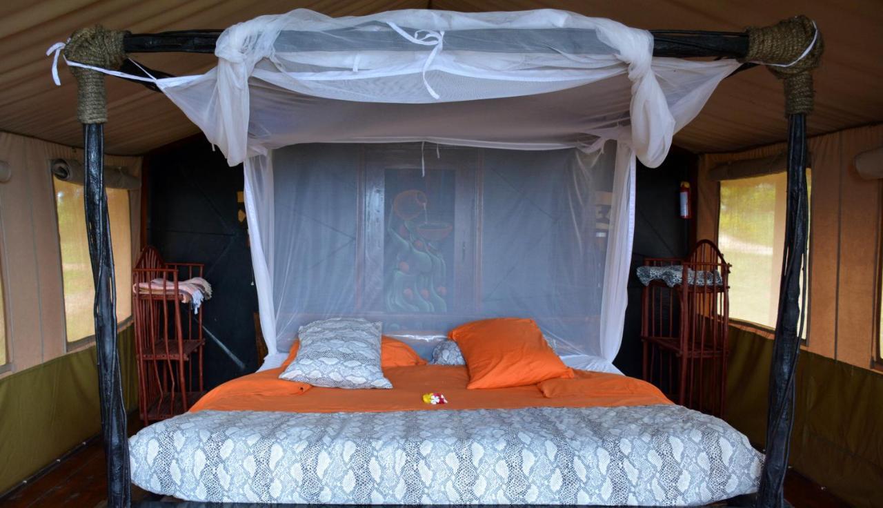 Shimba Hills Green Safari Lodge Kwale Exteriör bild