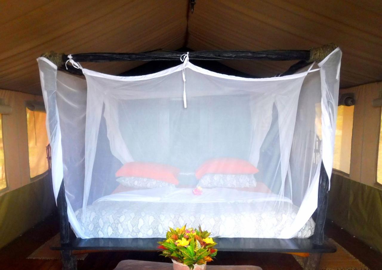 Shimba Hills Green Safari Lodge Kwale Exteriör bild