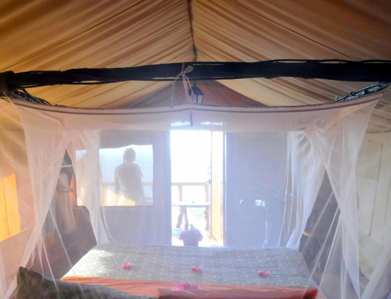Shimba Hills Green Safari Lodge Kwale Exteriör bild